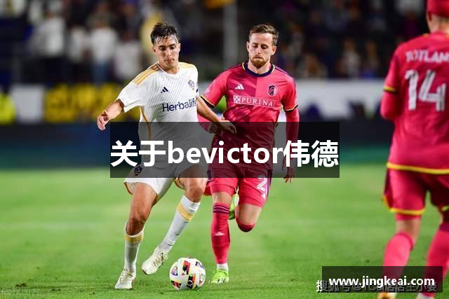 关于bevictor伟德